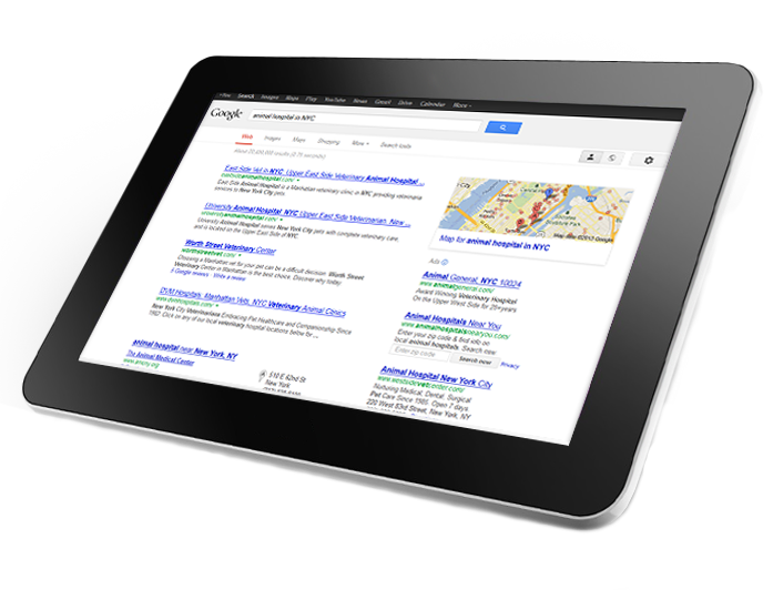 Search Engine Optimization